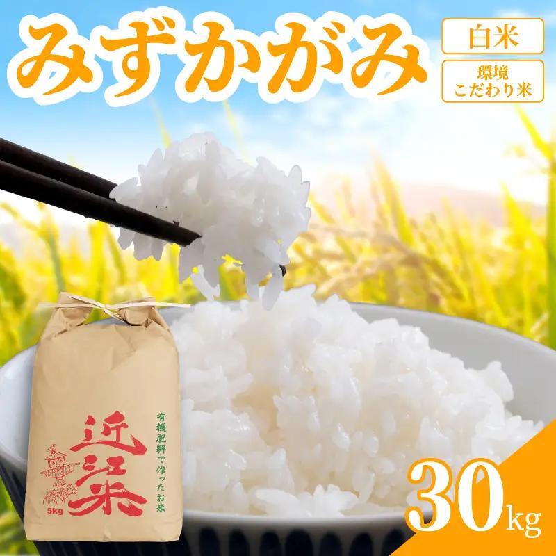 【 令和8年産  】 新米 みずかがみ 30kg 白米 米 R8 年産 ミズカガミ 2026年産 国産 農家直送 環境こだわり お試し用 単品 小分け 単品 お米 こめ おこめ ライス コメ 精米 おいしい 産地直送 人気 おすすめ 30キロ kome okome 2026年産 送料無料 滋賀県 日野町 育農舎 [IN063_R8]