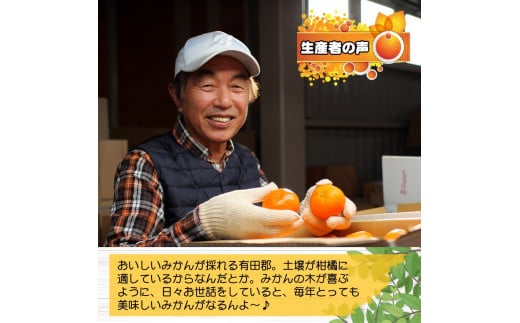 【ふるさと納税】有田 みかん 「木箱姫」 / 温州みかん 有田みかん 甘い 和歌山 柑橘 ※2026年11月上旬～翌年2月中旬頃に順次発送予定 【tkf004-p-32】