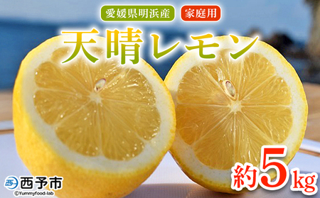 ＜天晴レモン ご家庭用 約5kg＞ フルーツ 果物 くだもの レモン れもん 檸檬 柑橘 訳あり わけあり ワケアリ 自宅用 料理 国産 国産レモン 愛媛県産 特産品 株式会社笑丸 愛媛県 西予市【常温】『2025年9月～2026年1月に順次出荷予定』AAN0045
