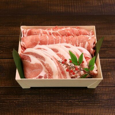 【ふるさと納税】柔らかジューシー!越後もち豚ロース (しゃぶしゃぶ用500g・とんかつ用400g) 計900gセット【配送不可地域：離島】【1644016】