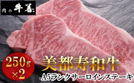 No.286 牛善特選 美都寿和牛 サーロインステーキ A5ランク 250g×2枚 ／ 和牛 A5ランク 牛肉 サーロイン ステーキ用 霜降り牛肉 サシがきれい やわらかい肉 贅沢 ご褒美 贈り物 肉ギフト 焼きやすい 千葉県 特産