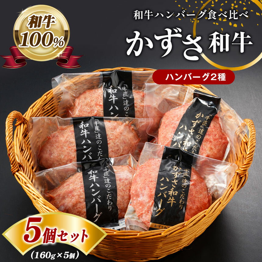 【ふるさと納税】 国産 和牛 ハンバーグ 2種 セット かずさ和牛 ハンバーグ 160g×2個 和牛ハンバーグ 160g×3個 合計5個 | 送料無料 上総 の 特選 牛肉 ブランド牛 農林水産大臣賞受賞 かずさ和牛工房 君津 きみつ 千葉 しらいし