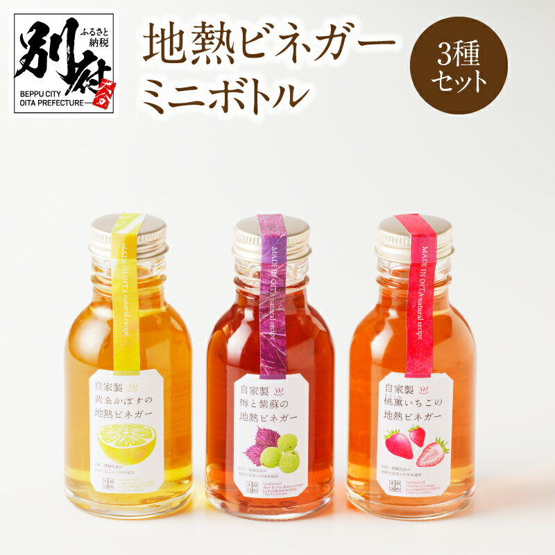 【ふるさと納税】地熱ビネガー ミニボトル 105ml 3種 セット フルーツ 果物 くだもの 酢 調味料 いちご かぼす 梅 うめ 紫蘇 しそ 鉄輪 温泉 地獄蒸し 温泉水 自然派食品 ソーダ割 炭酸割 豆乳割 味比べ 飲み比べ お取り寄せ 詰め合わせ 大分県 別府市 送料無料