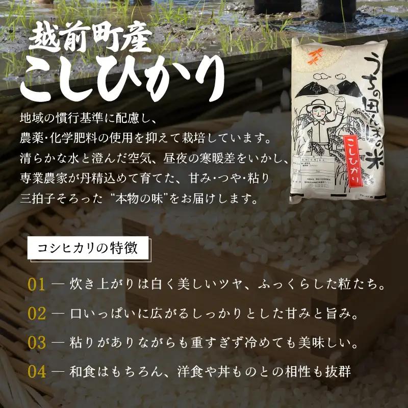 【先行予約】【令和8年産・新米】定期便 ≪6ヶ月連続お届け≫ こしひかり 5kg × 6回（計30kg）【2026年10月中旬以降順次発送】 [e26-h002_01]