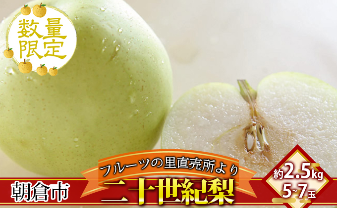 フルーツの里の直売所より 二十世紀梨 2.5kg ナシ 果物 先行