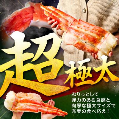 ふるさと納税 泉南市 【極太5Lサイズ】ボイルたらば蟹 1肩 約1kg ふるさと納税3.0 |  | 01