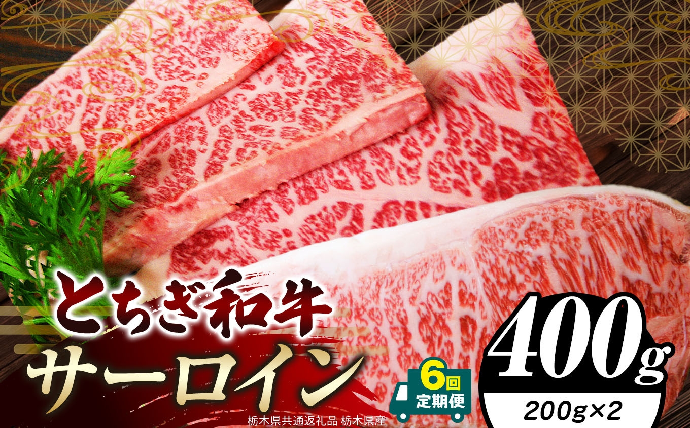 
                  【定期便6回】栃木県共通返礼品 栃木県産 とちぎ和牛サーロイン (200g×2)×6回｜定期便6回 黒毛 和牛 牛肉 焼肉 ステーキ BBQ バーベキュー ブランド和牛 とろける 霜降り 赤身 切り落とし ふるさと 納税 イチオシ おすすめ 栃木県 下野市 しもつけ市
                