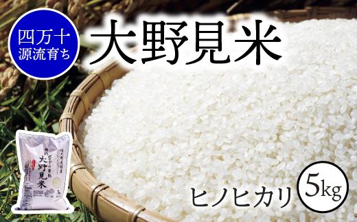 〈 新米予約 〉【 四万十源流 育ち 】特別栽培 大野見米 ヒノヒカリ 5kg ( 白米 ) ご飯 米 お米 ﾋﾉﾋｶﾘ 四万十