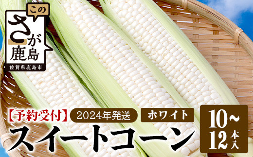 
予約受付【限定30セット】ホワイトコーン 10～12本入 とうもろこし トウモロコシ 野菜 B-733 佐賀 鹿島 スイートコーン
