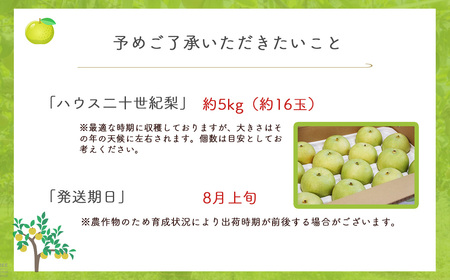ハウス二十世紀梨【倉吉産】5kg（JA鳥取中央） 梨 果物 フルーツ