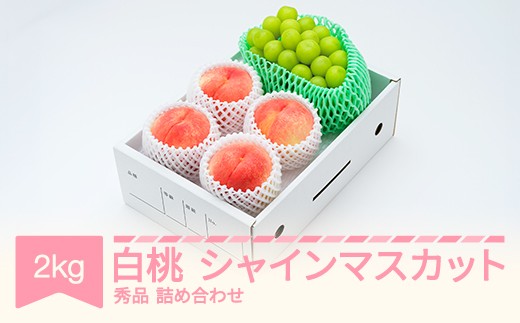 【先行予約】白桃秀品＆シャインマスカット 品種おまかせ 詰め合わせ 約2kg 令和8年産 2026年産 果物  送料無料 ns-fshsx2