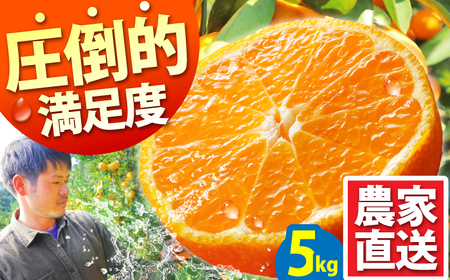 【2026年10月下旬-発送】温州みかん 5kg 南島原市 [SCQ001] みかん