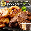 【ふるさと納税】ヤマジュウの特選タレ漬け！牛ハラミ肉＆国産牛ホルモン計800g【6回定期便】 牛 焼肉 ハラミ ホルモン 味付き 国産 定期便 送料無料 yj087