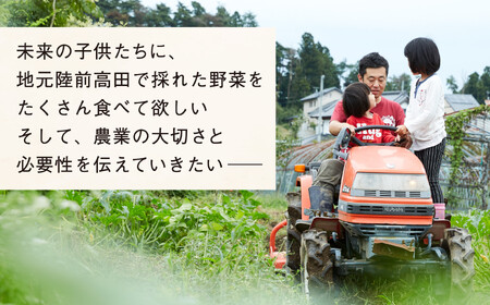 【定期便6ヶ月／毎月2回発送】ひころいちファーム定番野菜セット 計12回お届け （農家の気持ち体験型野菜の詰め合わせ） 岩手 陸前高田 農業