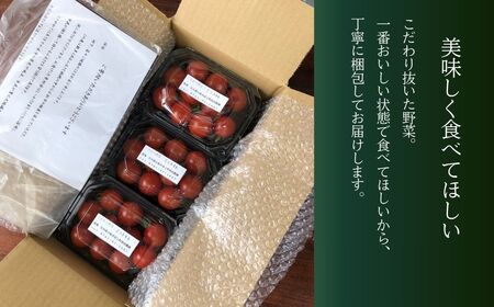 有機栽培 ミニトマト 1.2kg 6月～順次配送 ミニトマト 