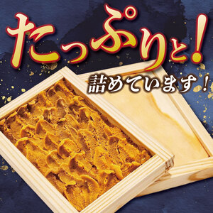 うに 60g 生うに うに