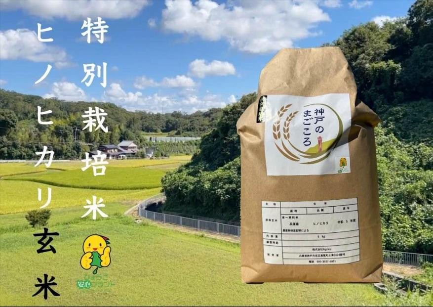 
特別栽培米　神戸のまごころ　ヒノヒカリ 玄米 5kg
