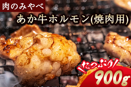 熊本県産 あか牛 焼肉 ホルモン 900g 肉のみやべ《120日以内に出荷予定(土日祝除く)》熊本県産 熊本県 御船町---mifune_myb_72_900g---