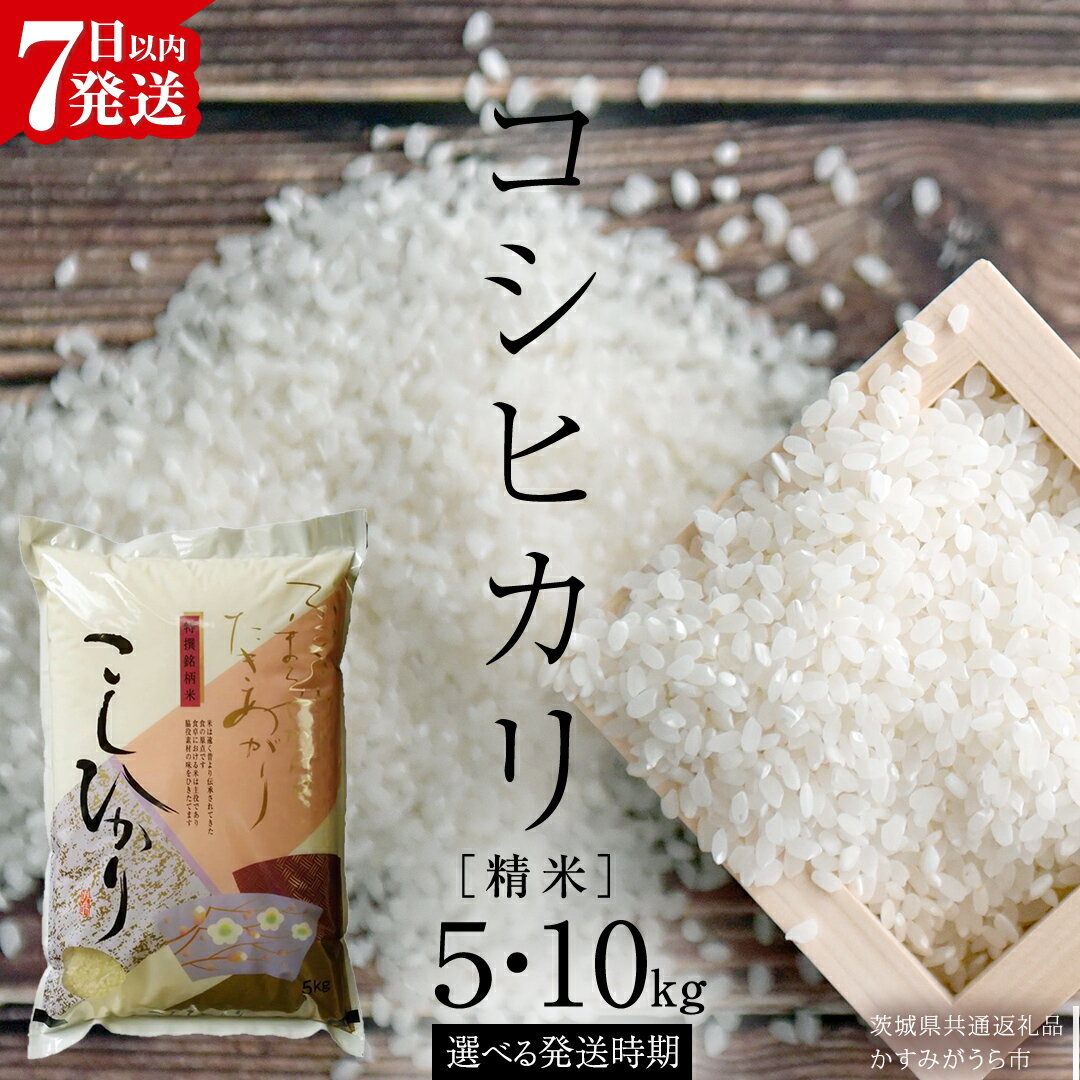 【ふるさと納税】《 生活応援価格 》《 令和6年産・令和7年産 》 コシヒカリ 精米 5kg ～ 10kg ( 選べる 内容量・発送時期 ) (茨城県共通返礼品 かすみがうら市) 新米 米 ごはん もっちり 甘い コメ お米 白米 銘柄米