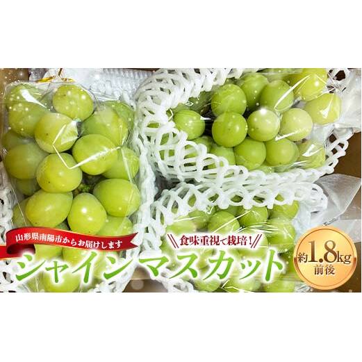 【令和8年産先行予約】 シャインマスカット 1.8kg前後 (3～4房入り) 《令和8年9月下旬～発送》 『きらめきぶどう園』 ぶどう 果物 フルーツ デザート 山形県 南陽市 [858-R8]