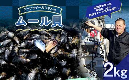 ケッツラゲーおじさんのムール貝 2kg しゅうり貝【沖縄県・離島配送不可　配送日指定不可】 YD-619