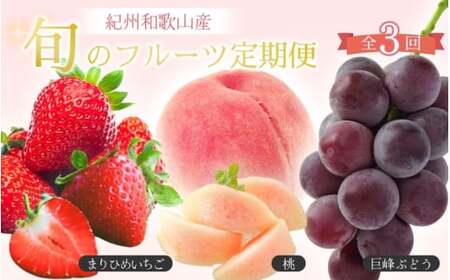 【全3回定期便】紀州和歌山産 旬のフルーツ定期便（いちご・桃・巨峰） / 果物定期便 フルーツ定期便 定期便 3回定期便 3か月定期便 苺 いちご 桃 もも 葡萄 ぶどう 巨峰 フルーツ 果物 果実 和歌山県産 【tkb400】