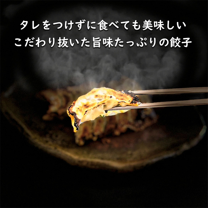 4個セットすっぽん餃子 餃子 スープ すっぽんスープ スッポンスープ 料理 肉 エキス 国産 グルメ 老舗 全国 取り寄せ 取り寄せグルメ コラーゲン 液体 美容 精力 効果 ギフト プレゼント おす