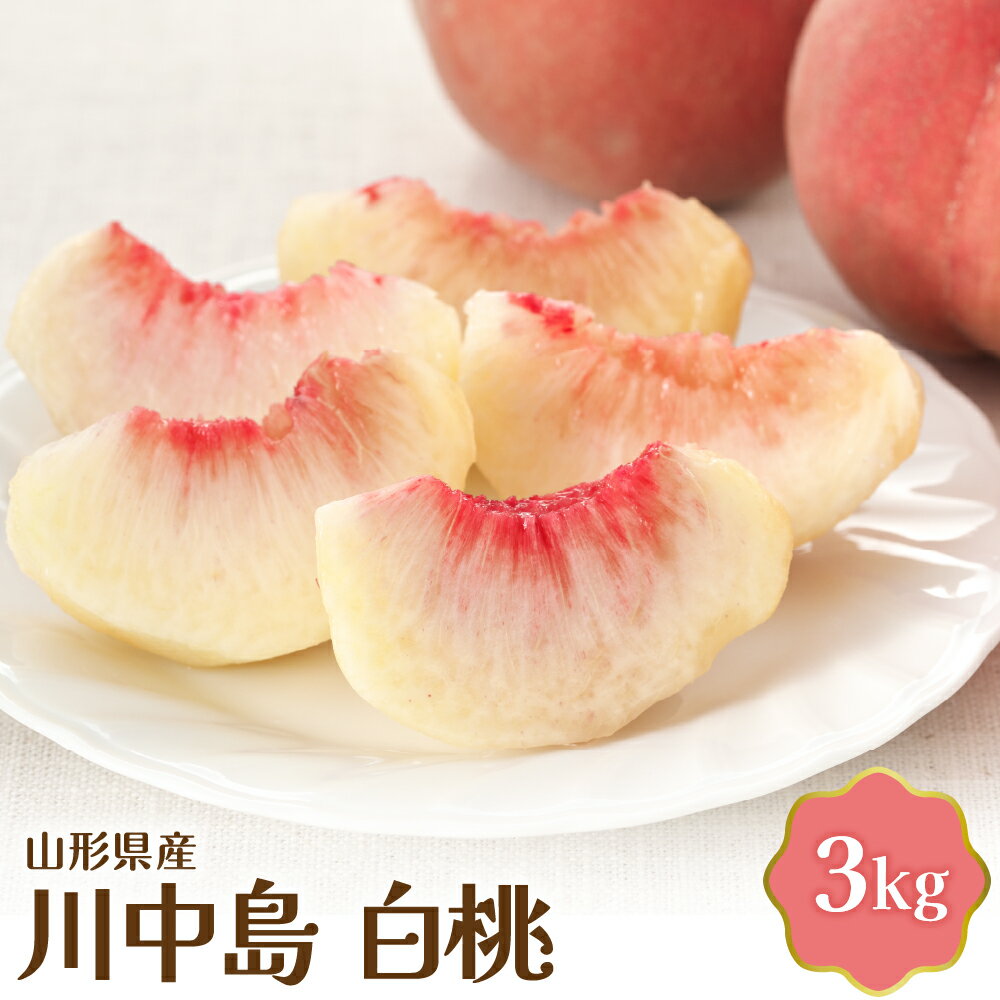 【ふるさと納税】【令和7年産】桃 川中島 白桃 3kg 国産 モモ もも ピーチ 冷蔵便 フルーツ 果物 果肉 青果 旬 送料無料 山形 産地直送 お取り寄せ 東北 山形県 河北町 【JAさがえ西村山】