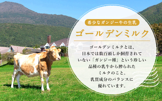 希少なガンジー牛乳使用 のむヨーグルト 150ml×6本 計900ml