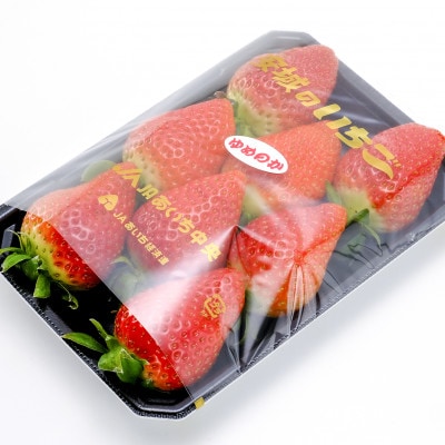 【碧海そだち】安城いちご『紅ほっぺ』&『ゆめのか』食べ比べセット　計4パック【配送不可地域：離島・北海道・沖縄県】【1692914】