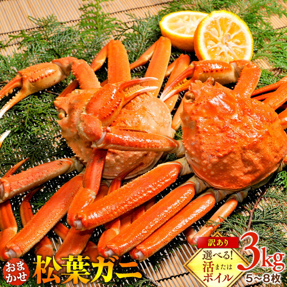 【ふるさと納税】【選べます！活またはボイル】訳あり 松葉ガニおまかせ3kg（5～8枚）※2025年11月上旬～2026年3月下旬頃に順次発送予定※着日指定不可 | 蟹 かに 松葉ガニ 松葉蟹 訳あり 家庭用 鳥取県産 北栄町 おすすめ 人気