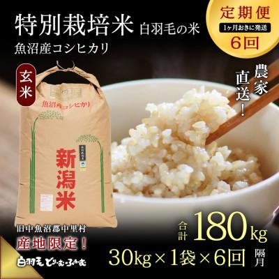 ふるさと納税 十日町市 【2ヵ月毎定期便】農家直送!魚沼産コシヒカリ特別栽培 玄米(30kg×1袋)全6回