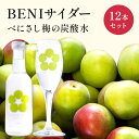 【ふるさと納税】炭酸 BENIサイダー 12本 セット 炭酸飲料 飲料 梅サイダー サイダー 紅映 梅 うめ ウメ 福井県 福井　【 若狭町 】