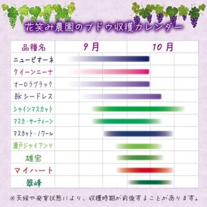 岡山　花笑み農園の『BKシードレス』2kg(3～5房)優品　B-2優【2025年9月中旬～順次発送】【配送不可地域：離島】【1593502】