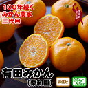 【ふるさと納税】 有田みかん 2.5kg 3kg 3.5kg (2S.S.M.Lサイズのいずれか) (L.2L混合) 和歌山県産 ※11月上旬頃～12月下旬頃に順次発送予定 7000円 9000円 / みかん ミカン 蜜柑 柑橘 果物 フルーツ 国産 和歌山県広川町 //mandarin