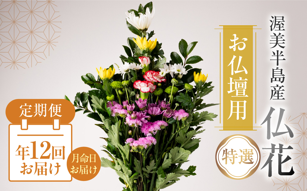 【定期便　年12回】産地直送 《お仏壇用》 仏花 特選 日時指定可 生産額 日本一 田原市 渥美半島 月命日 お彼岸 お盆 年末 鮮度 生花 お花 定期便 お墓まいり