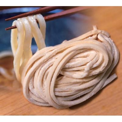 ふるさと納税 与謝野町 生うどん　へじや製麺のうどん生麺10食セット 太麺タイプ　ぶっかけ(温)用特製だしつゆ付　京都与謝野