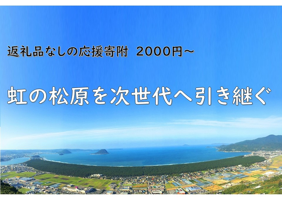 
            【返礼品なしの寄附：2,000円～】NPO法人KANNEによる虹の松原の「白砂青松」を未来へ引き継ぐ取り組み
          
