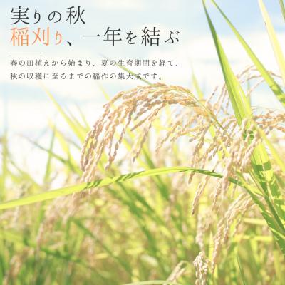 ふるさと納税 三条市 新潟県三条市保内産コシヒカリ 1等米 3kg 2025年産コシヒカリ 【010S706】 |  | 03