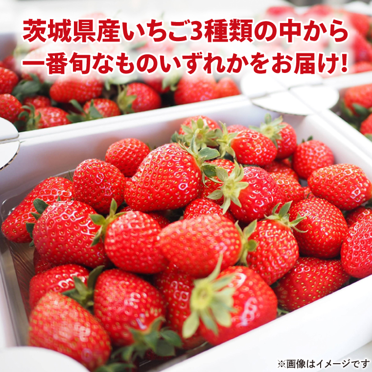 【茨城県共通返礼品】【先行予約】2026年１月中旬～発送 いちご（とちおとめ、やよいひめ、いばらキッスのいずれか1種）270ｇ×4パック(88-03)