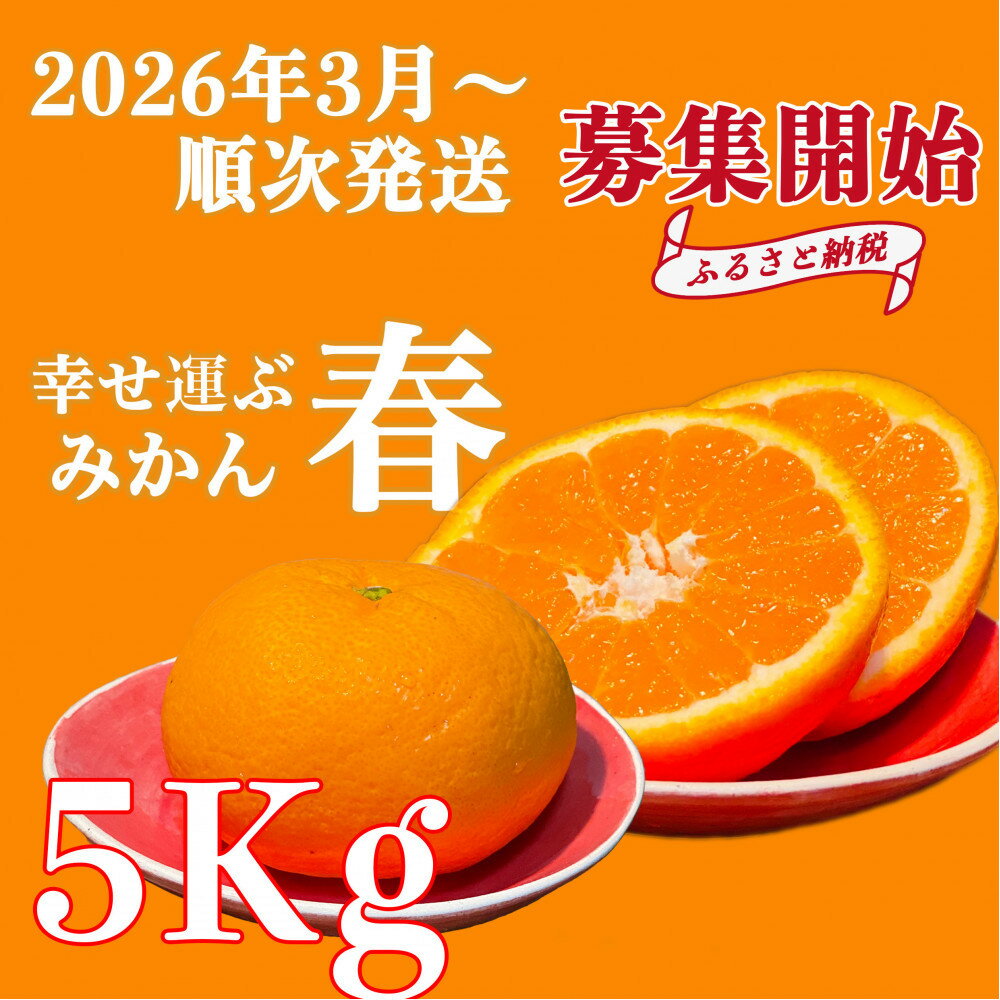 【ふるさと納税】【2026年3月より順次発送】山口県周防大島町からあなたの街へ幸せ運ぶ春みかん《ゆめほっぺ》5kg