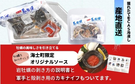 牡蠣 LLサイズ 6個 牡蠣