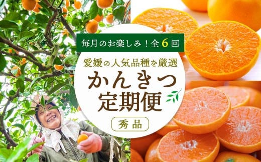 
            ＜発送月固定定期便＞愛媛の人気品種を厳選! 旬のかんきつ定期便(秀品)全6回＜H25-120＞【4002604】
          