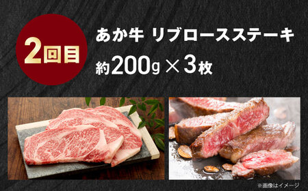 【全3回定期便】【GI認証】くまもとあか牛 食べ比べ A ランプ リブロース 赤身モモブロック[AYCQ026]