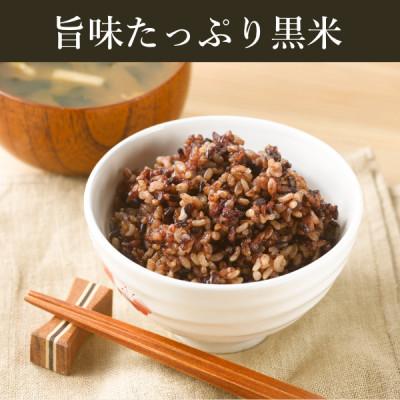 ふるさと納税 松原市 ご飯パック 金賞健康米 玄米・黒米 120g×12個入り 国産 レンチン |  | 01