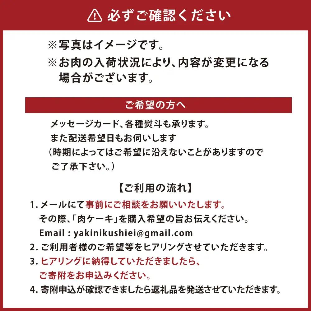 飛騨牛 肉ケーキ （ 大サイズ ） 1個