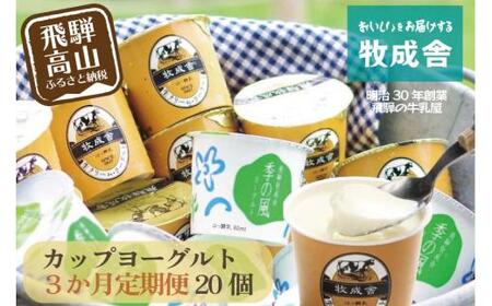 【定期便3か月】飛騨のカップヨーグルト20個セット 毎月1回お届け ヨーグルト2種類 DF108