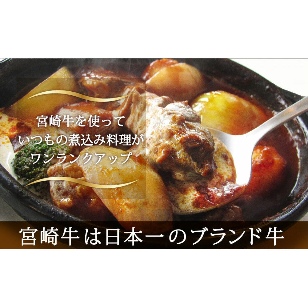 牛肉 ブロック 宮崎牛 スネ肉 800g [SHINGAKI 宮崎県 美郷町 31af0006] 黒毛和牛 A4 A5 牛 国産 宮崎 冷凍 牛 真空パック_イメージ2