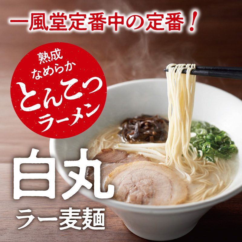 一風堂白丸ラー麦麺セット（12食）  ラーメン 博多 福岡 とんこつ ラー麦 麺 セット