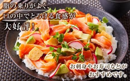 北海道二海サーモン刺身用550g前後　ロイン(皮なし) 【 サーモン 海鮮 魚介 冷凍 食品 グルメ お取り寄せ 八雲町 北海道 】